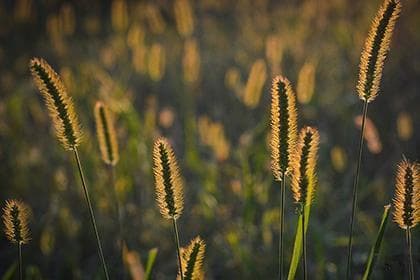 紫微斗数各宫年龄含义解析与应用指南