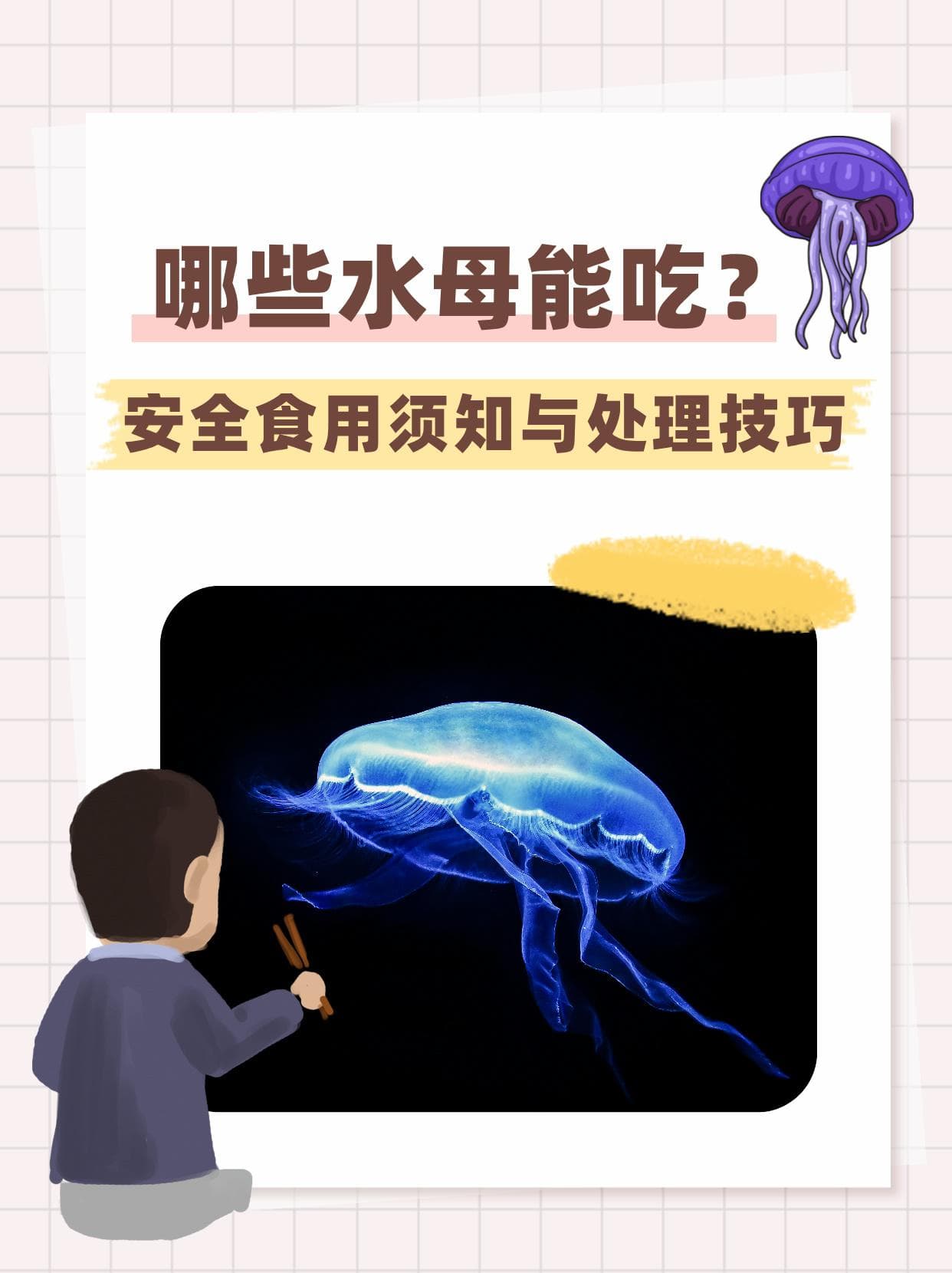 哪些水母能吃？安全食用须知与处理技巧