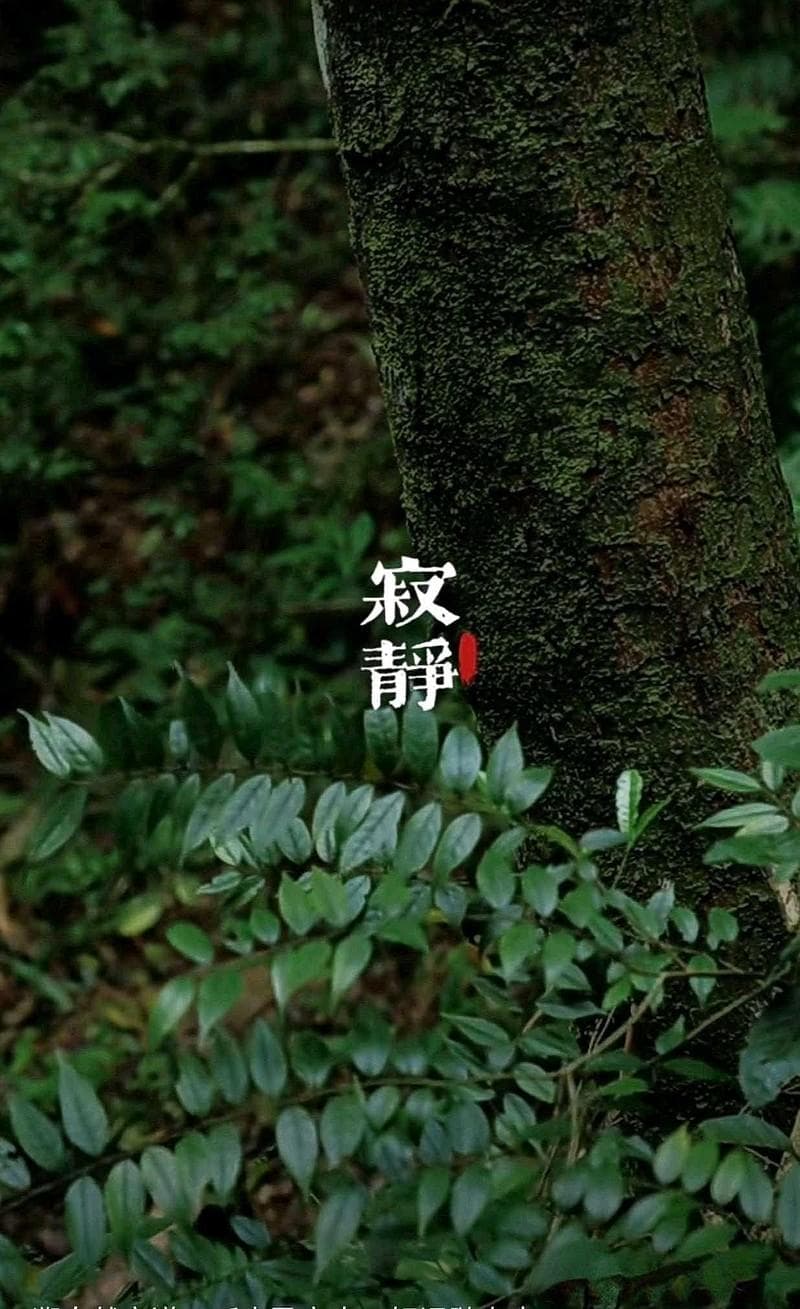 【金刚经讲话】尊重正教分第十二