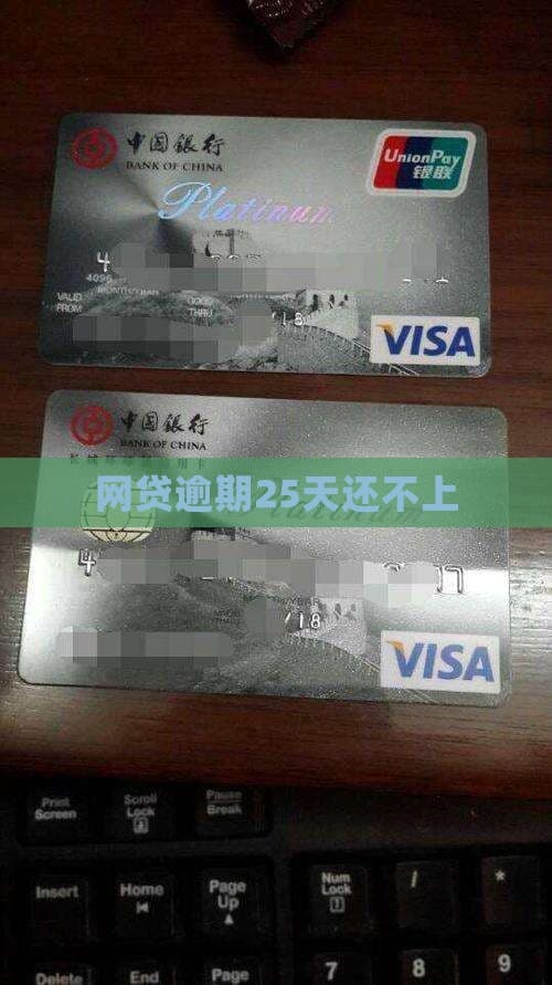网贷逾期25天还不上怎么办？应对方法与后果详解