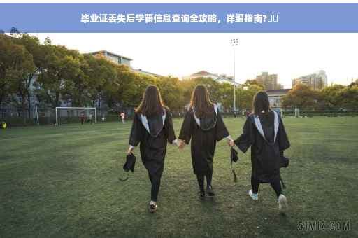 毕业证丢失后学籍信息查询全攻略，详细指南
