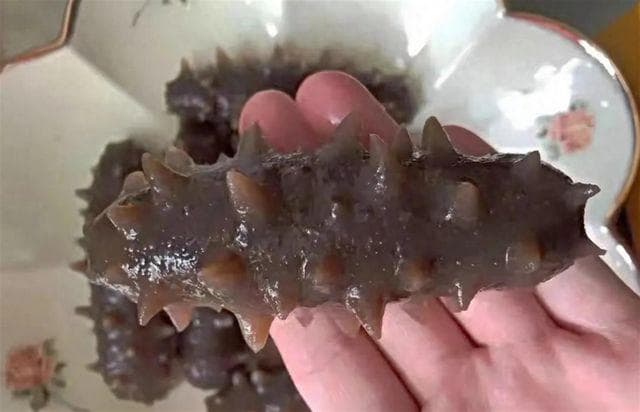 海参怎么吃营养好？探秘海洋瑰宝：海参的极致美味与养生之道