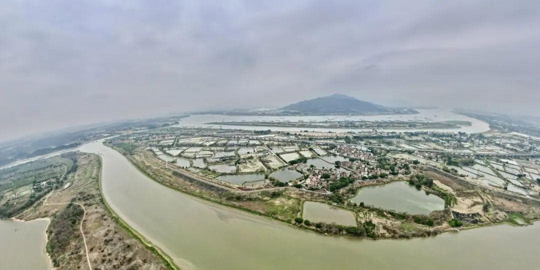 深读｜走进三水“几字湾”：何以思接千古，何以奔流不息
