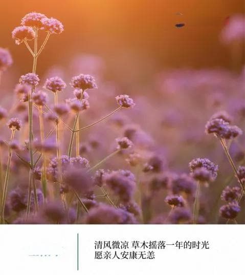 重阳节：这些传统习俗和养生知识要知道！