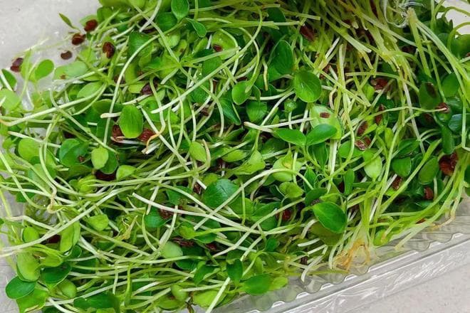 它们都还是孩子！细数各种豆科芽苗菜......