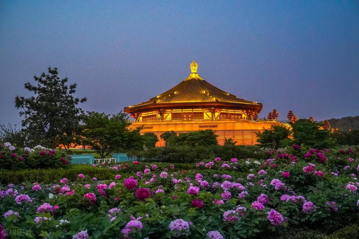 清明节三天适合去哪里旅游，这些地方，踏春正合适