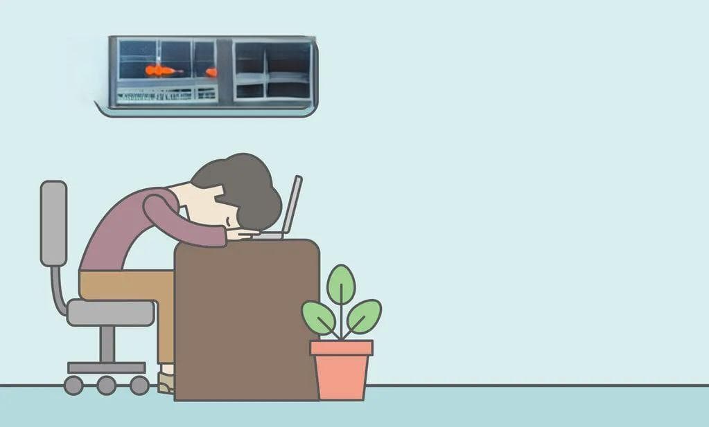 揭秘“晕碳”：科学应对餐后困倦的实用指南