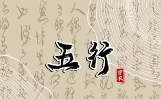 中医养生中的五行理论是什么？