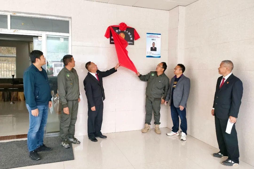 揭秘哀牢山：法治力量下的生态守护之道