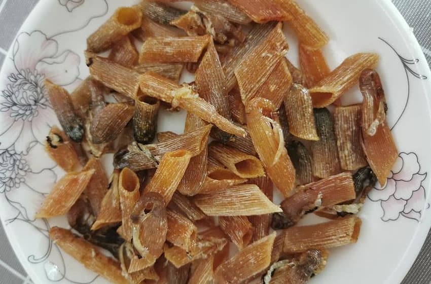 油炒沙虫，吃一次即可爱上