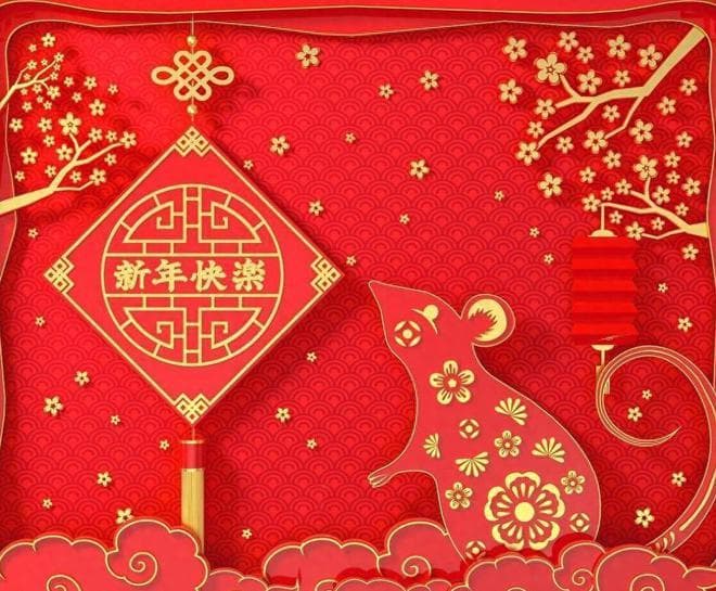 生肖鼠身上有哪些闪光点