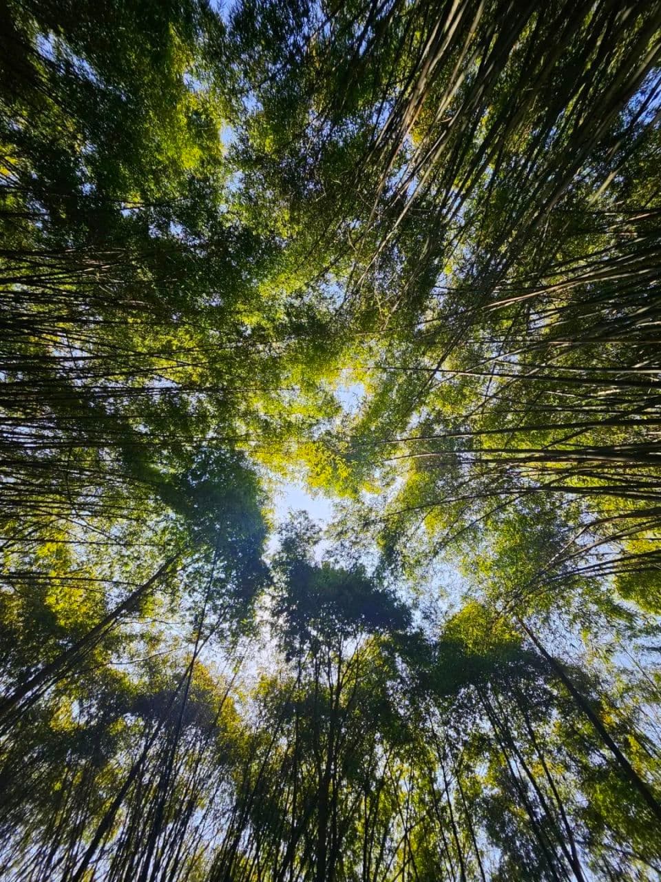 探秘新场景 | 藏不住啦！这么多露营好地方，等你“解锁”春日野趣