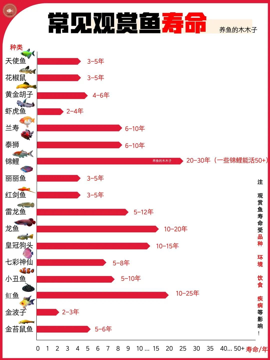 影响观赏鱼寿命的关键因素