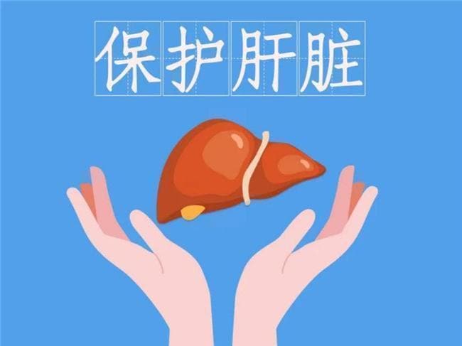 养肝护肝：日常生活中的科学方法与建议