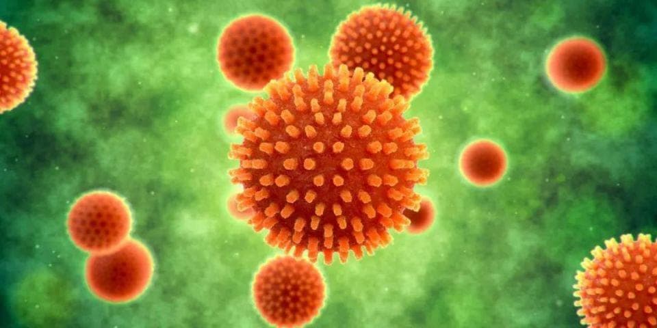 新视角！复旦大学联合南方医科大学共同发文：揭示肝癌临床治疗新策略