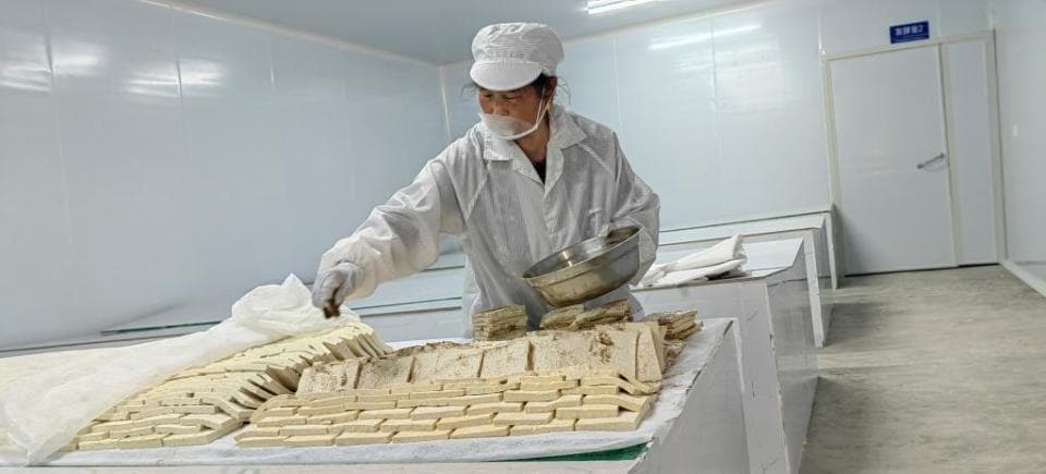 捧乍臭豆腐“新生”记
