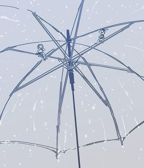 一伞在手，风雨无阻！详解雨伞构造与材质，助你选对好伞