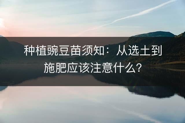种植豌豆苗须知：从选土到施肥应该注意什么？