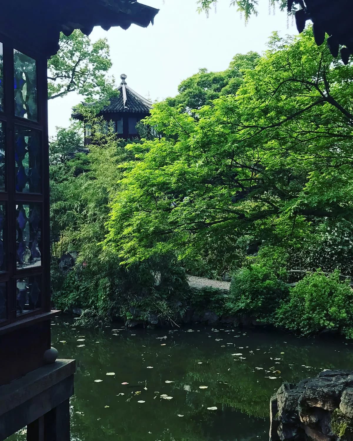 苏州园林：古典美的现代解读