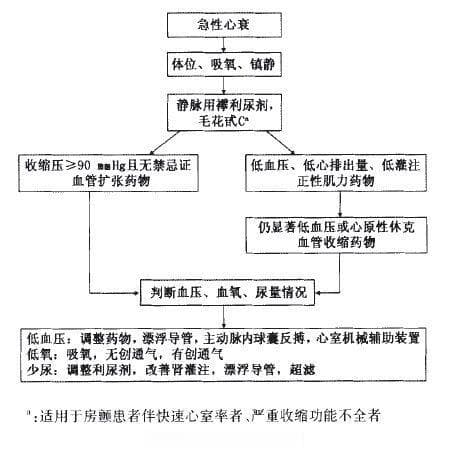 急性心衰诊断和治疗快速指南