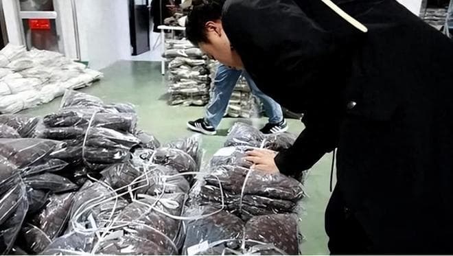 羽绒服新国标：绒子含量不低于50%，教你避开选购陷阱