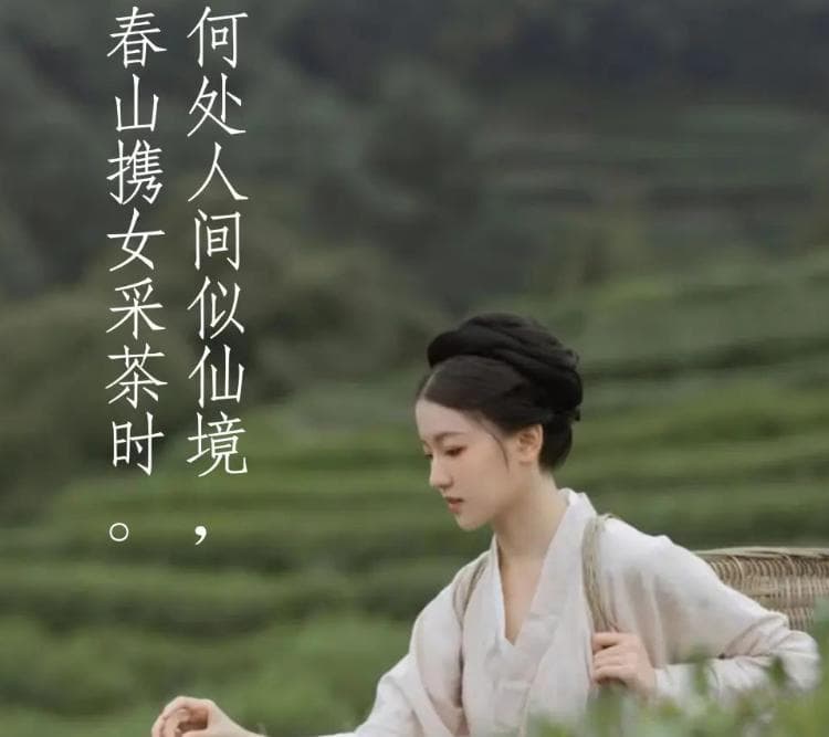 67首关于茶的古诗词，诗情茶意，寄与爱茶人