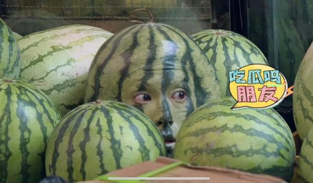 王鹤棣：从霸总到搞笑谐星的反转人生