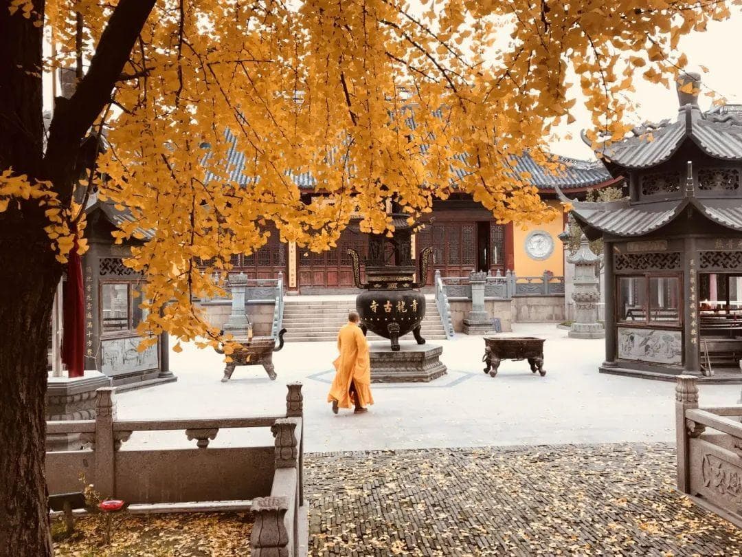 考古青浦，聊聊那些“龙”的传说