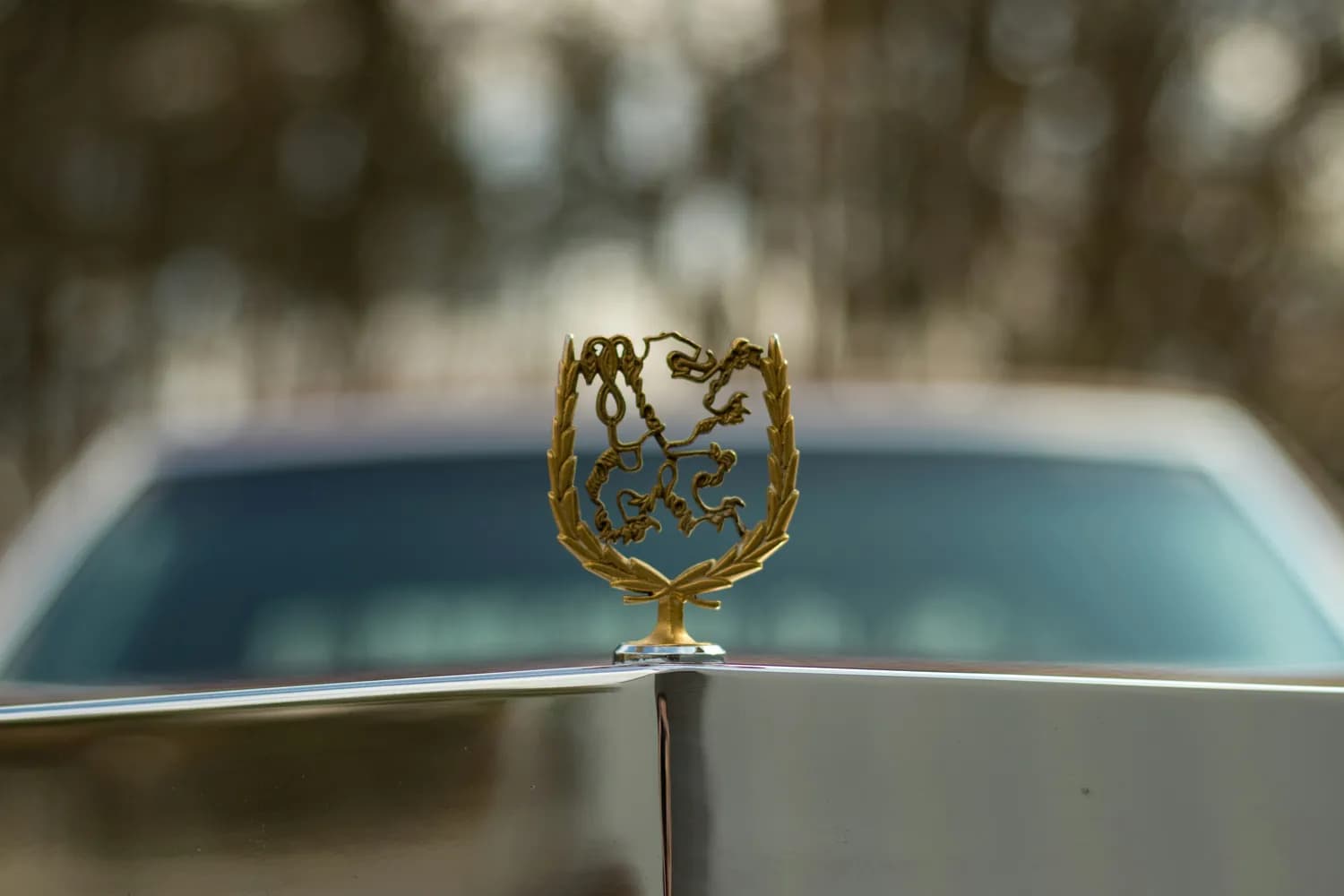 当五菱遇上豪车：一场意想不到的文化逆袭