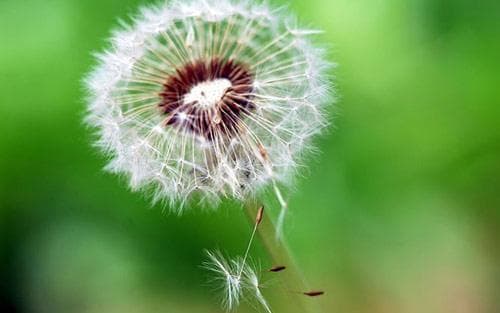 在职考研MBA备考经验与实用价值