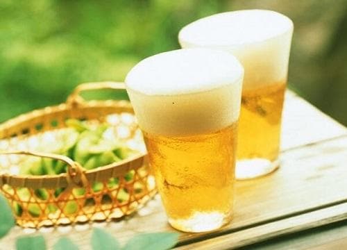 啤酒对植物的作用及使用方法