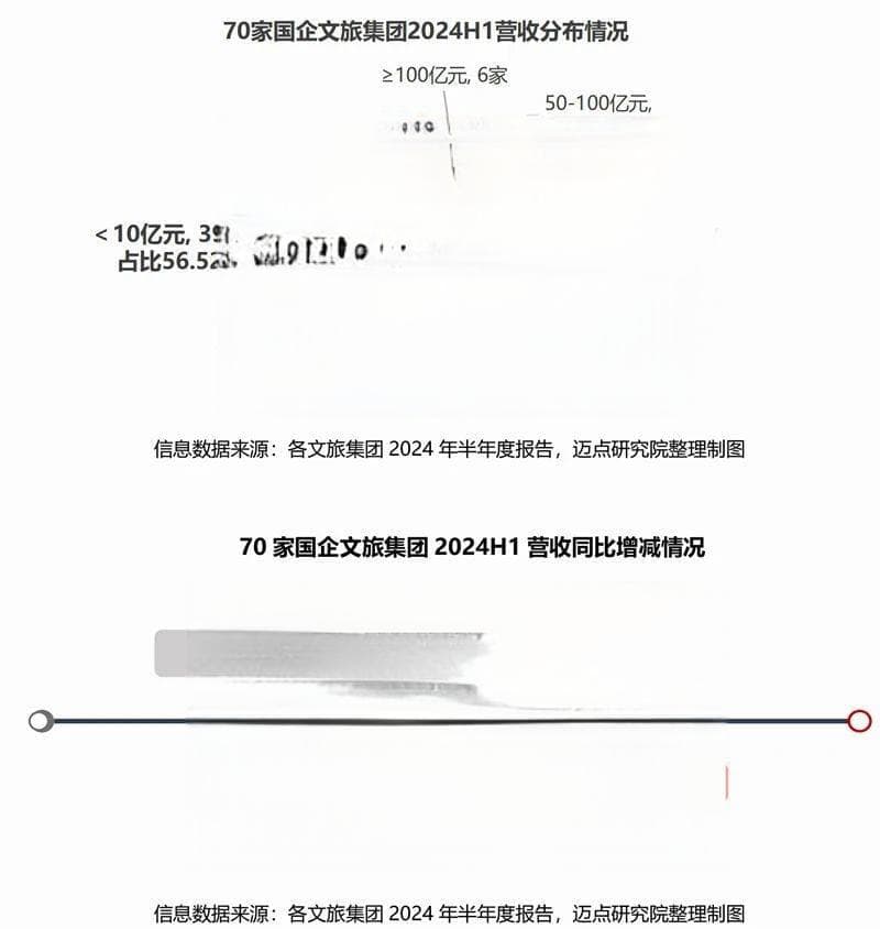 2024上半年国企文旅集团财务分析报告
