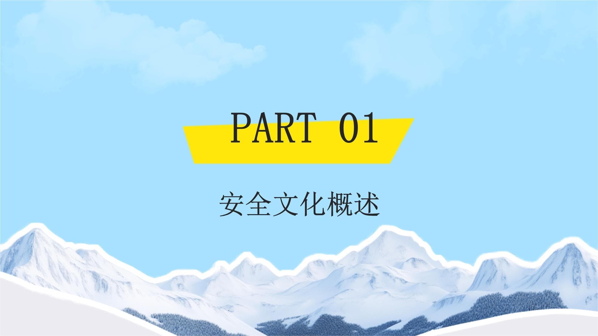 安全文化及标准化
