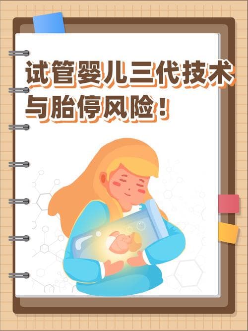 叶酸在试管婴儿妊娠中的角色与流产风险分析