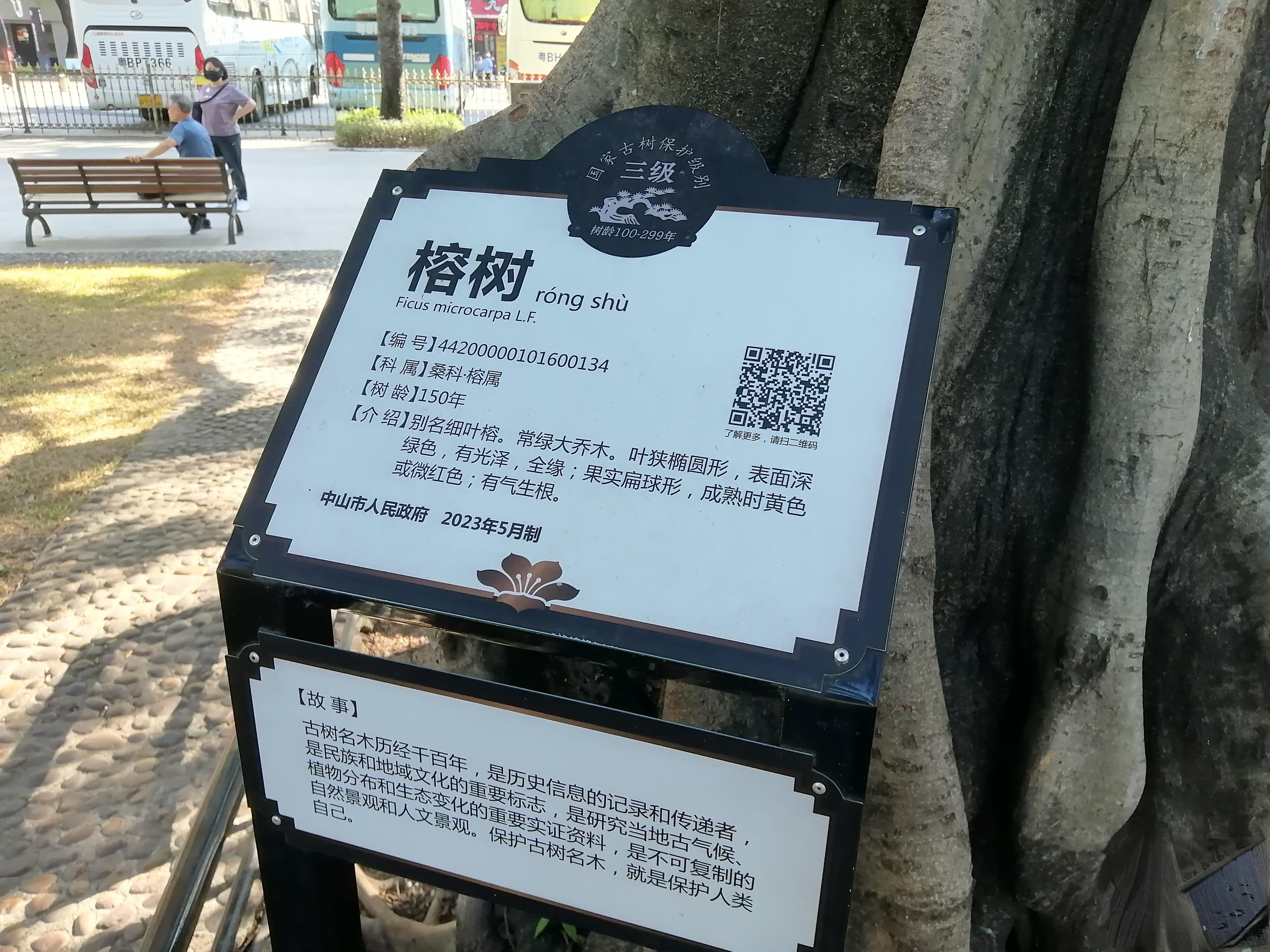 中山：“一码当先”提升城市管理公众参与度 | 共建美丽中山