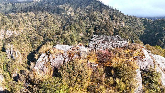 云南腾冲天台山：世界最大人工秃杉林