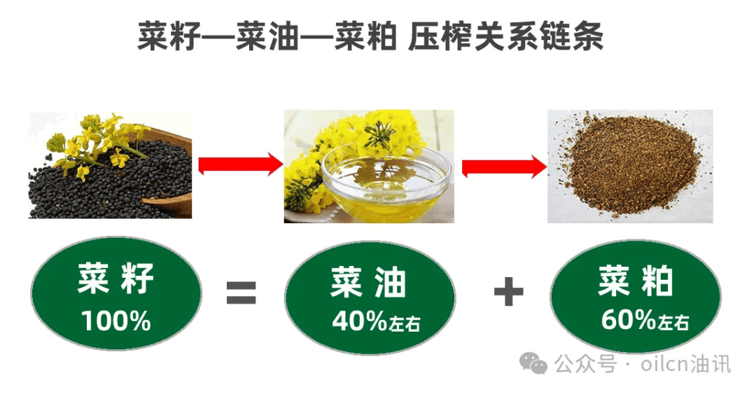 关税风云再起，菜系品种集体飙升，菜油会接着涨吗？