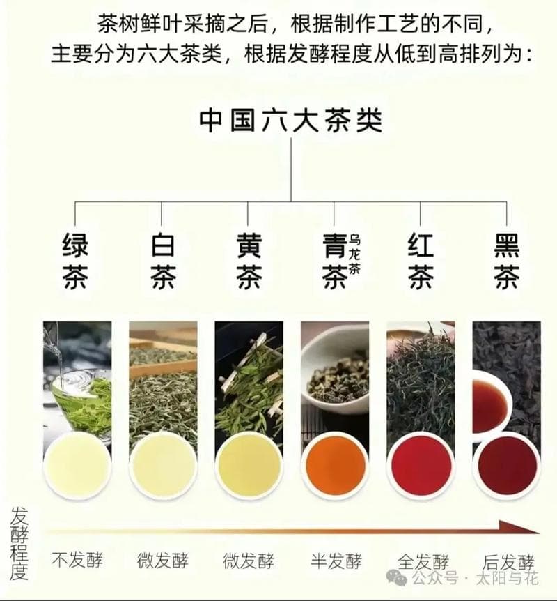 青茶发酵程度详解