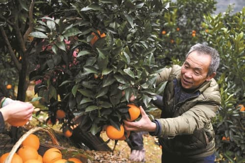 毛相林：“当代愚公”新奋斗
