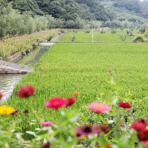 宜昌自由行攻略：三峡风光+地道美食+避坑指南