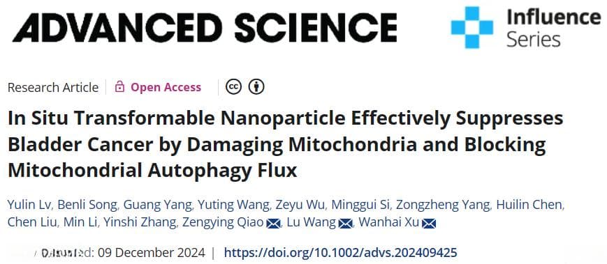 哈医大团队开发新型纳米颗粒，通过破坏线粒体和阻断自噬通量有效抑制膀胱癌