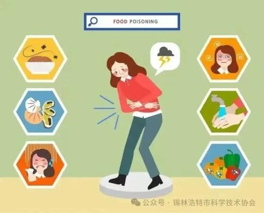 食品安全指南：从饮食习惯到中毒预防全攻略