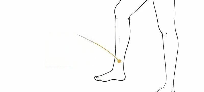 秋冬助眠有妙招：三阴交穴配合红枣桂圆茶