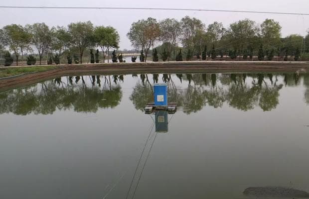 鱼塘增氧方法全解析：化学、机械与生物增氧的优劣比较