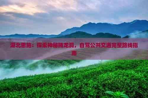 湖北恩施：探索神秘腾龙洞，自驾公共交通完整路线指南
