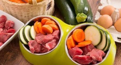 狗狗食用鸡蛋的益处与注意事项（兽医揭秘）
