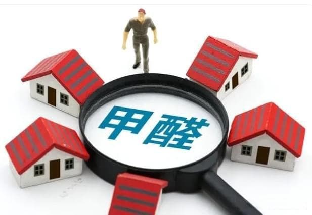 常见的除甲醛植物及科学使用方法详解