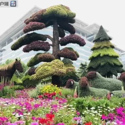 补气血食疗方：黄芪当归红枣煮鸡蛋