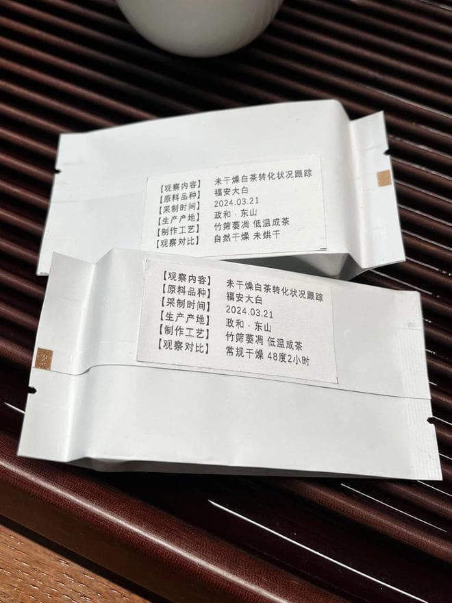 不同含水率白茶转化观察实验实验报告