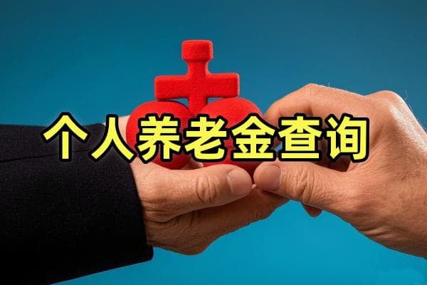 个人养老金查询系统使用指南：功能特点、特色服务及意义